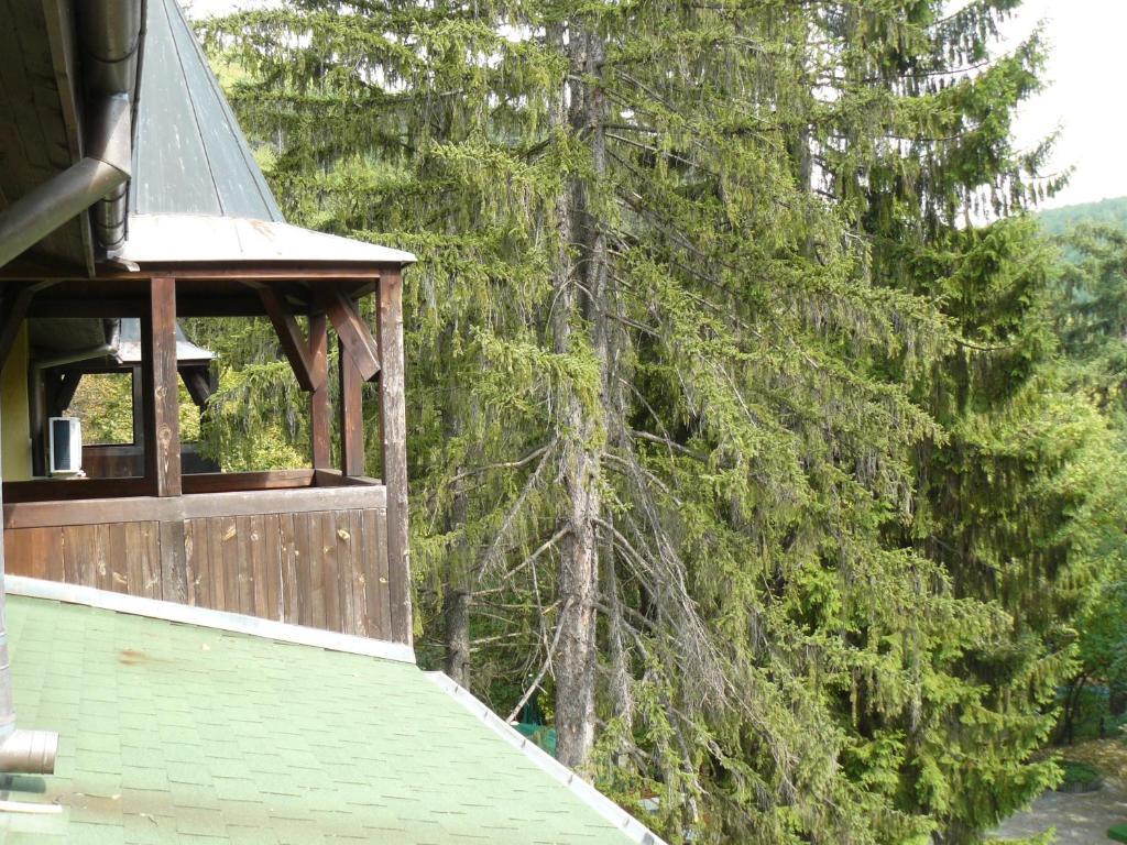 Family Park Hotel Kyoshkove Sjumen Rom bilde